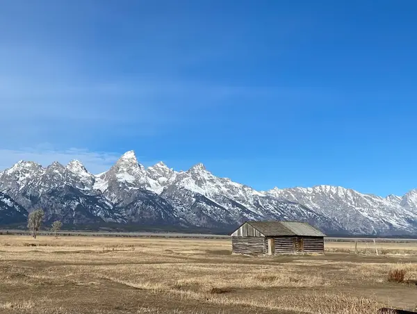 Jackson Hole EcoTour Adventures, Jackson, WY