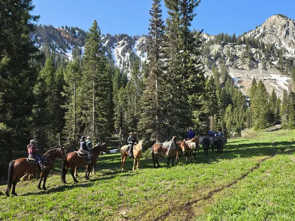 Jackson Hole Outfitters, LLC, Alpine, WY