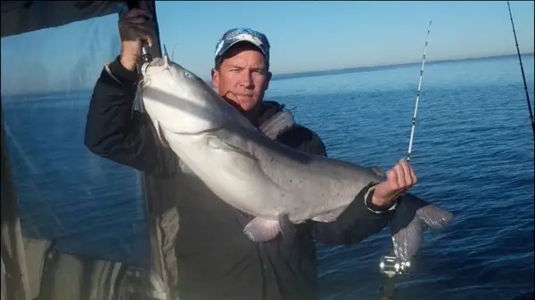 Jackson's Catfishing Guide Service