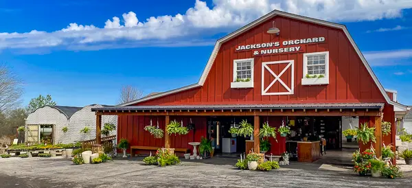 Jackson's Orchard & Nursery, Bowling Green, KY