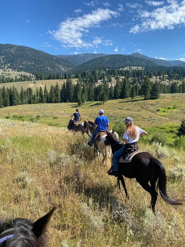 Jake's Horses Inc.