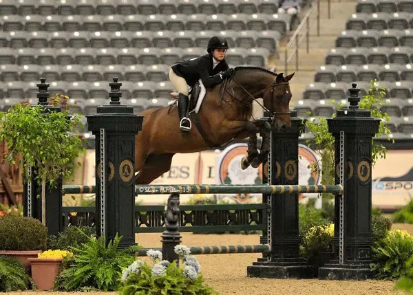 Jasmin Stair Stables, photo 1