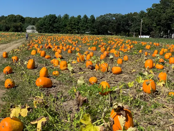Jaswell's Farm LLC, Smithfield, RI