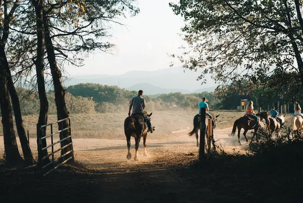 Jayell Ranch Family Adventure Park, Sevierville, TN