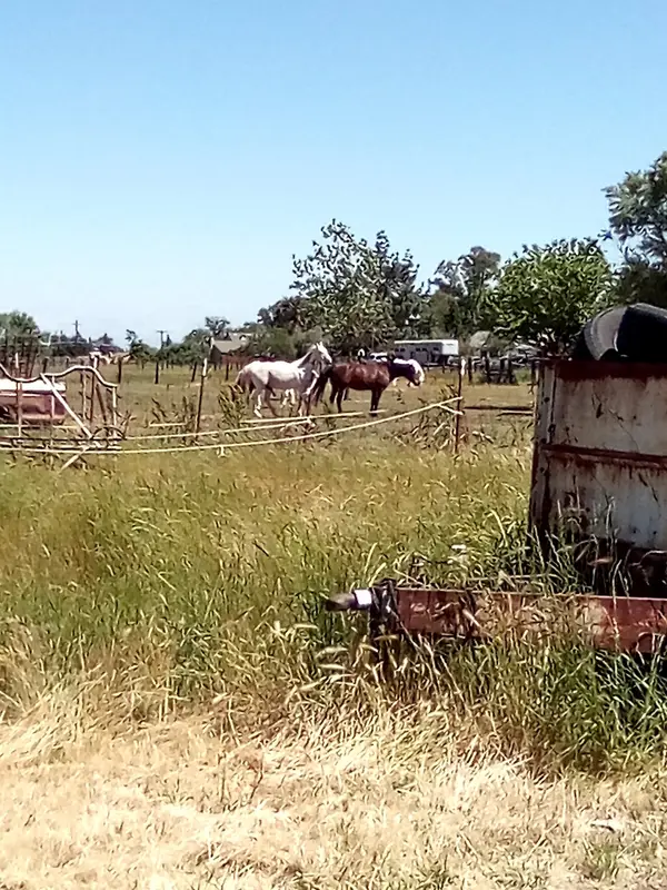 JB Ranch, photo 2