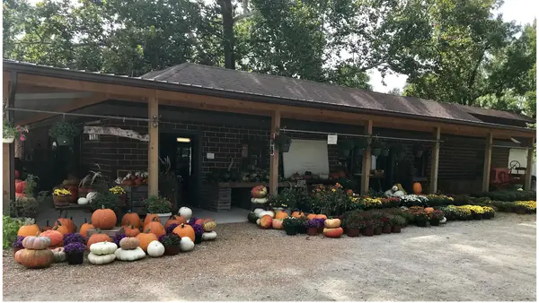 Jefferies Orchard, Springfield, IL