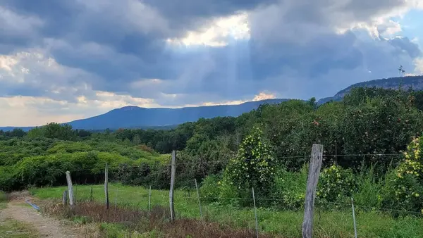 Jenkins-Lueken Orchards, New Paltz, NY