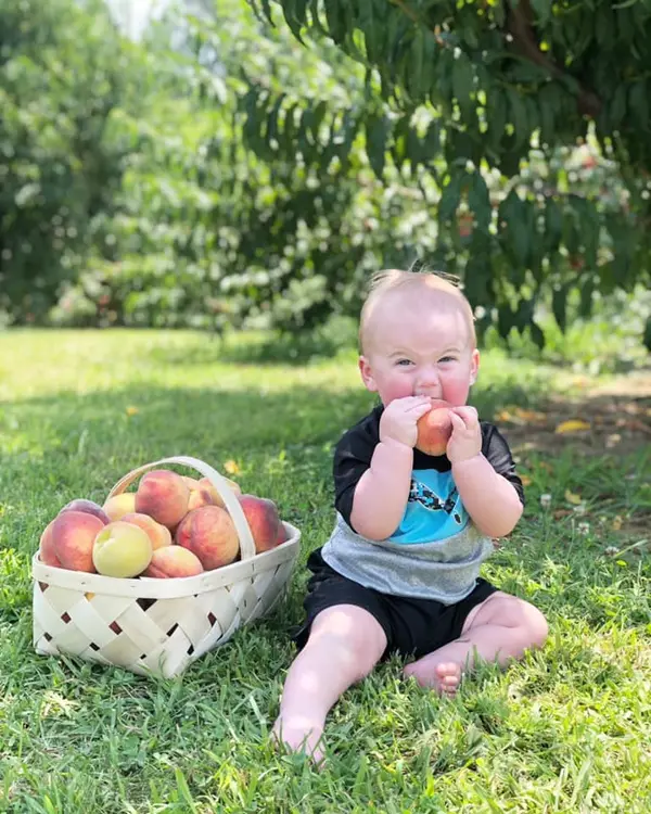 Jeter Mountain Farm Apple Orchard, Hendersonville, NC