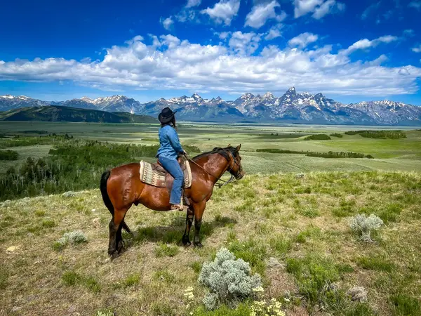 JH Outfitting Company, Jackson, WY