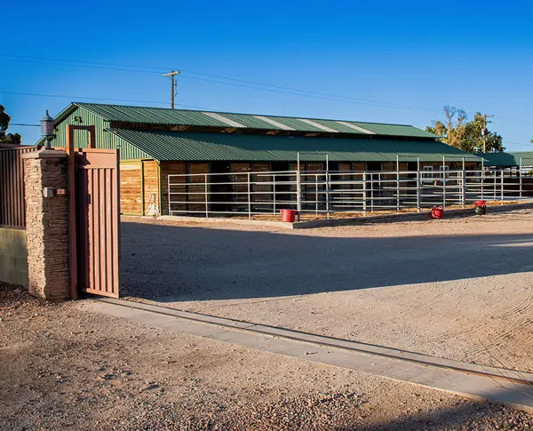 J&J Las Vegas Horse Boarding & Riding Academy