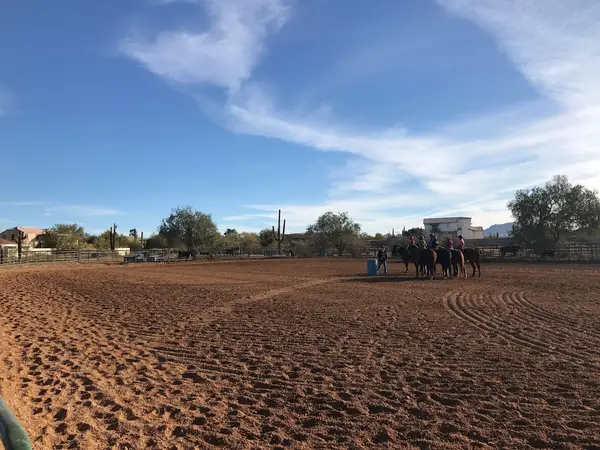 Jodi Scott's School of Horsemanship