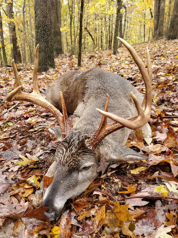 jonathan creek outfitters
