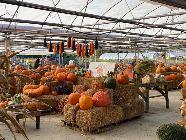 Jones Family Farm Market, Edgewood, MD