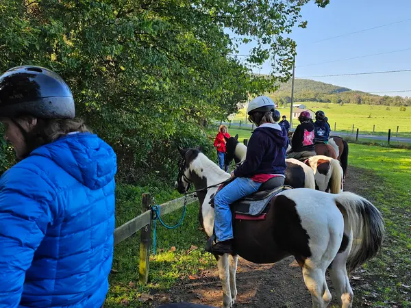 Jordan Hollow Stables