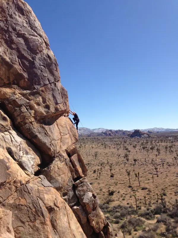Joshua Tree Climbing Guides