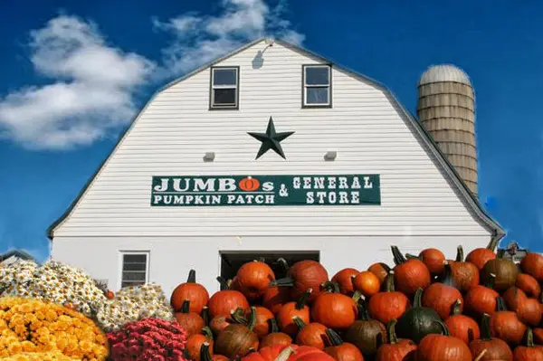 Jumbo's Pumpkin Patch, Middletown, MD