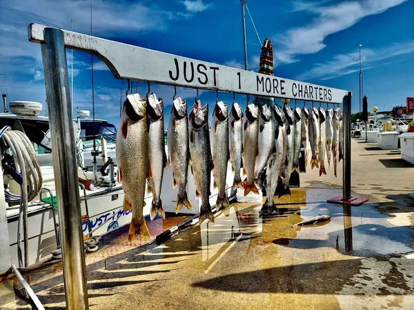 Just 1 More Lake Michigan Charter Fishing, Michigan City, IN