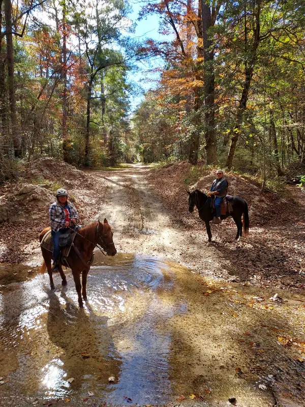 JUST RIDE HORSE CAMP