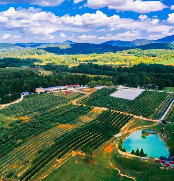 Justus Orchard, Hendersonville, NC
