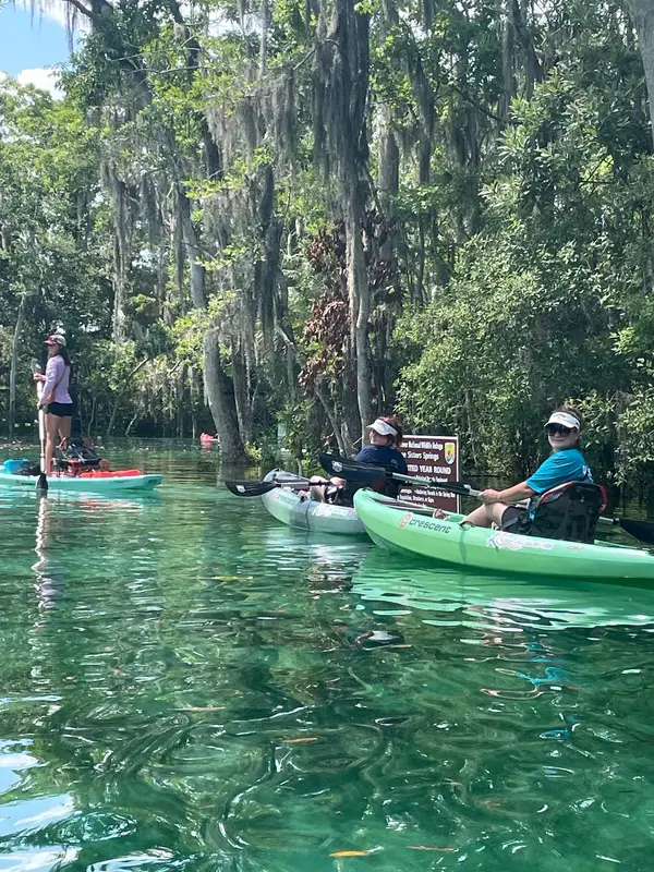 Kaceys Custom Adventures Kayak Rentals and Tours, Crystal River, FL