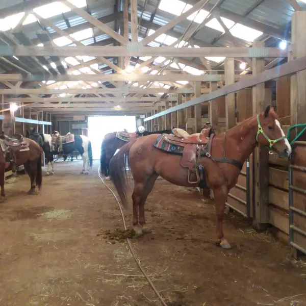 Kankakee River State Park Riding Stables