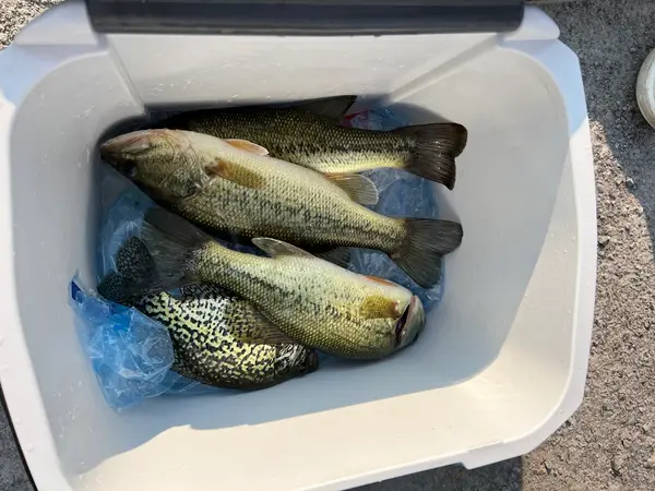 Kawartha Fishing Charters, photo 2