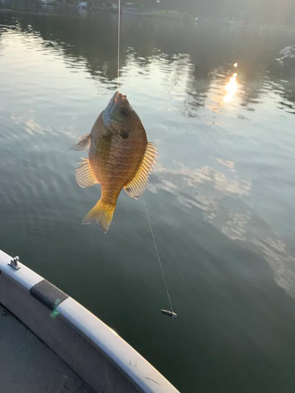 Kawartha Fishing Charters, photo 3