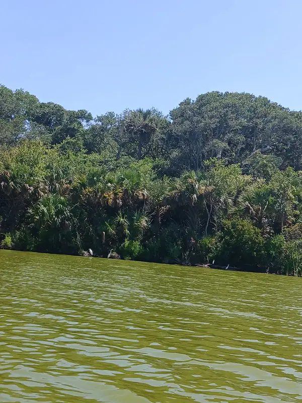 Kayak And canoe rentals, photo 3