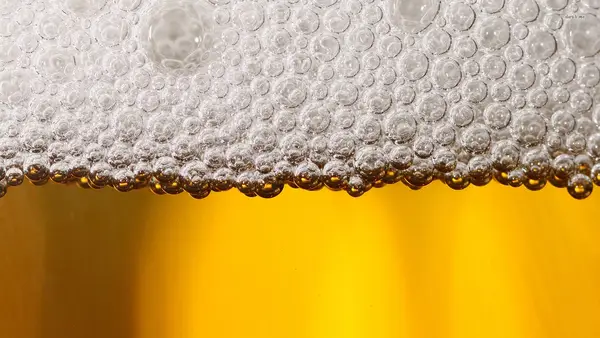 Kayak Brewery Tours, Traverse City, MI