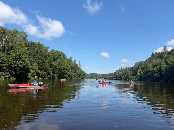 Kayak & Cabana, photo 1