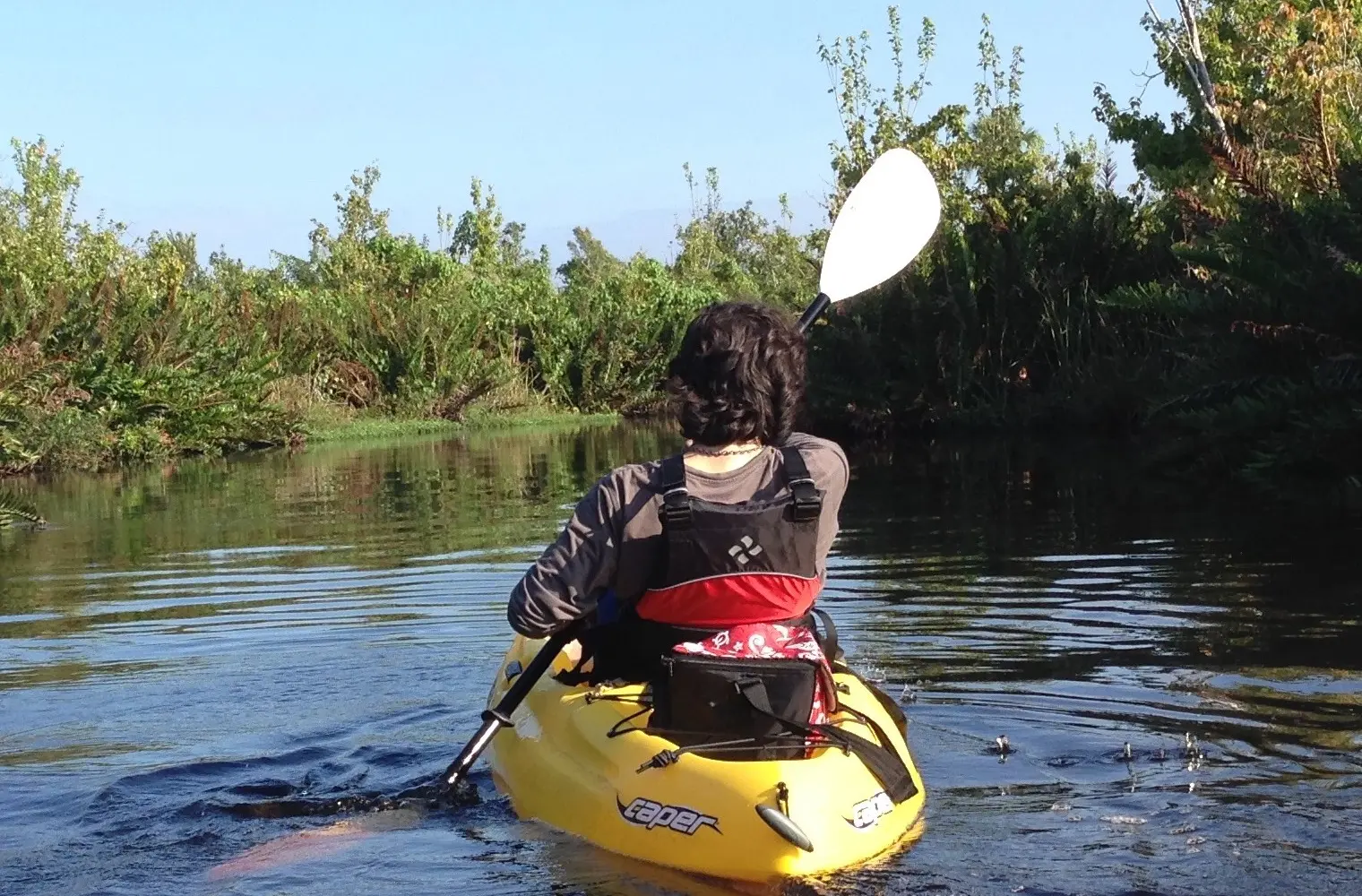 Kayak Eco Tours
