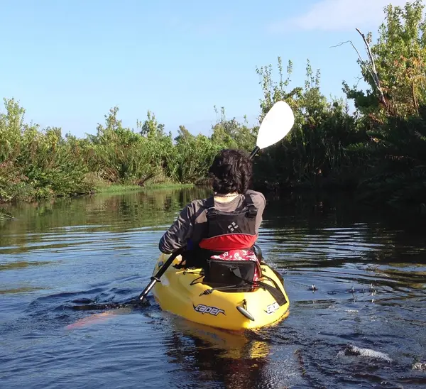 Kayak Eco Tours, photo 4