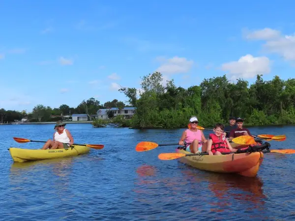 Kayak Eco Tours, photo 1