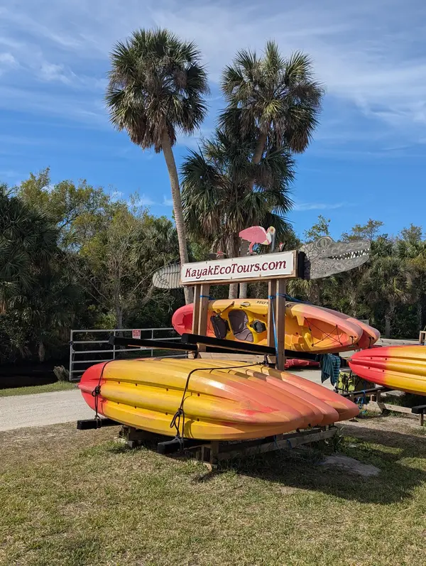 Kayak Eco Tours, photo 2