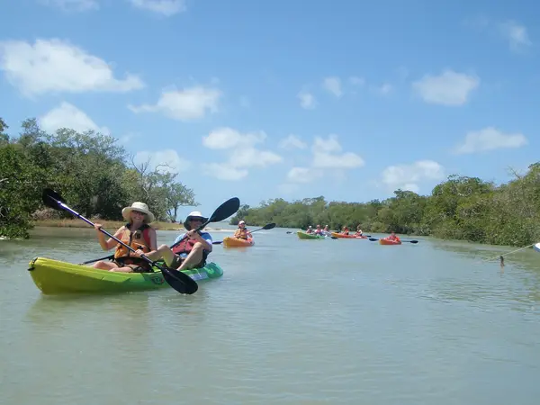 Kayak Excursions, photo 4
