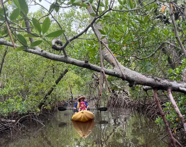Kayak Excursions, photo 1