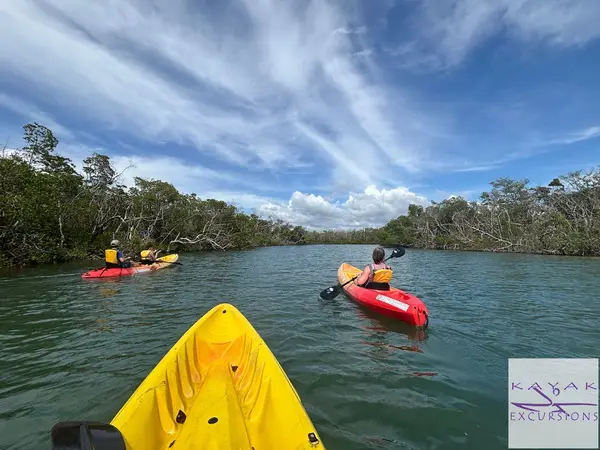 Kayak Excursions, photo 2