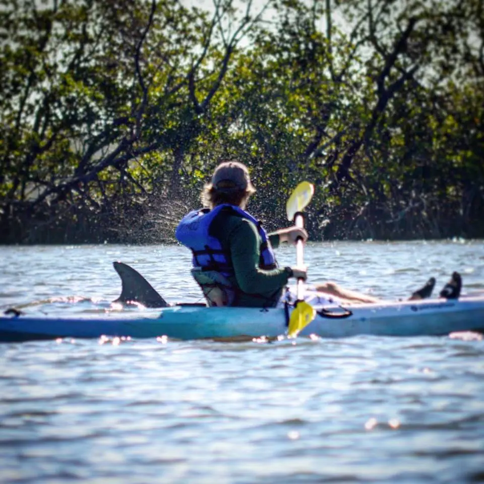 Kayak Marco Island