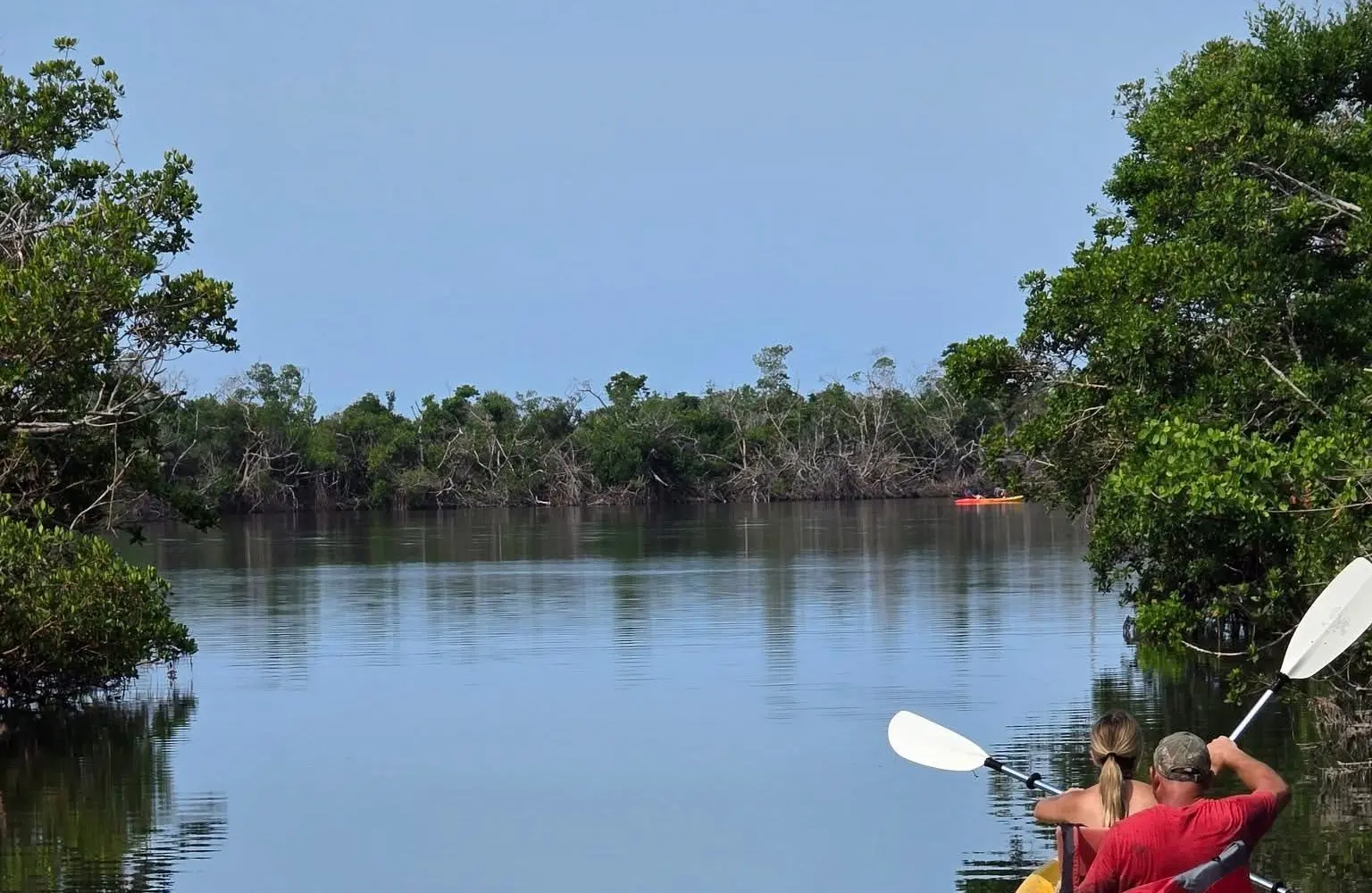 Kayak Nature Adventures