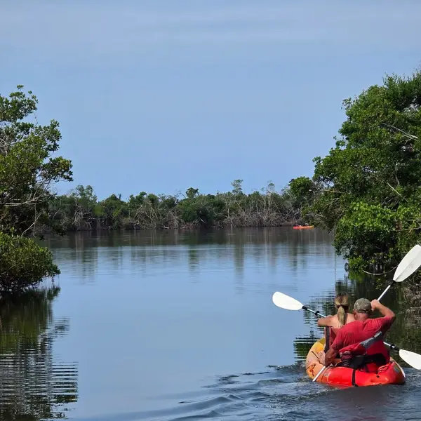 Kayak Nature Adventures, photo 4