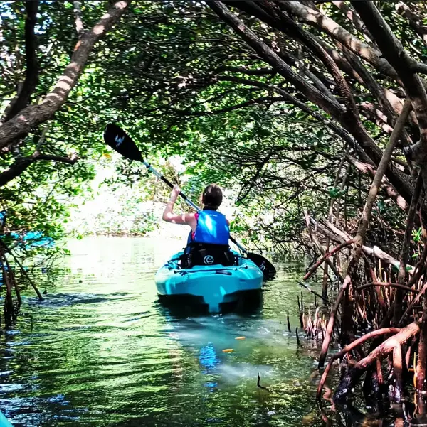 Kayak Nature Adventures, photo 3