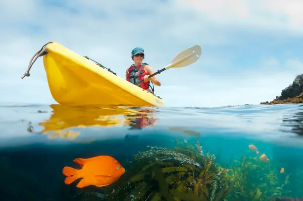 Kayak Santa Barbara, photo 2