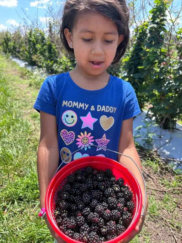Kelleys Berry Farm, Castalian Springs, TN