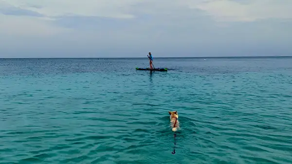 Key Aquasports, photo 3