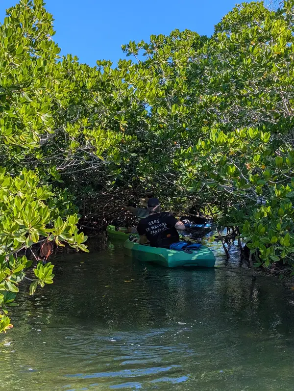Key Largo Water Fun Snorkel and Kayak, photo 1