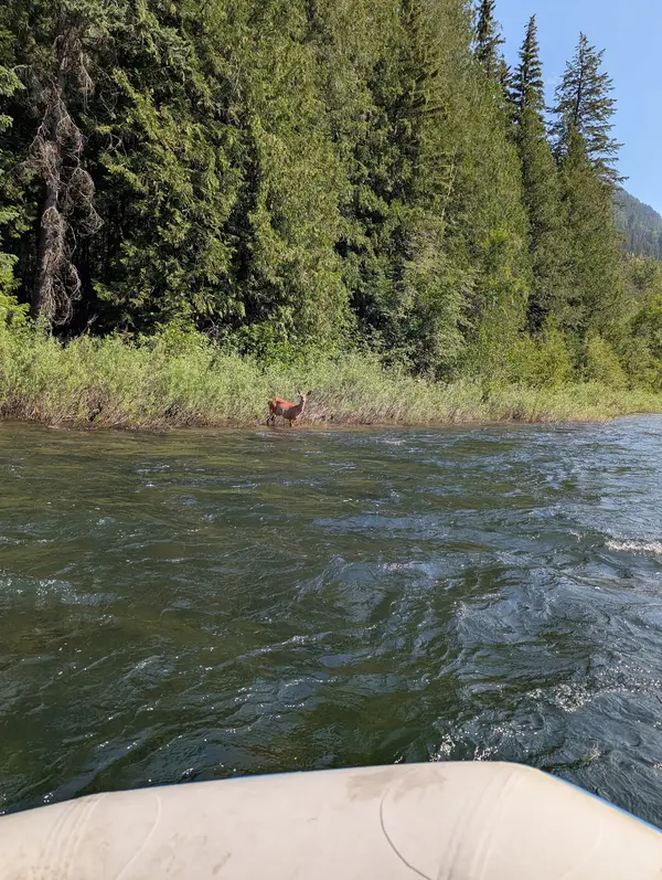 Kimberley Fly Fishing Ltd, photo 2
