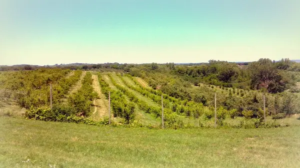 Kimmel Orchard & Vineyard, Nebraska City, NE