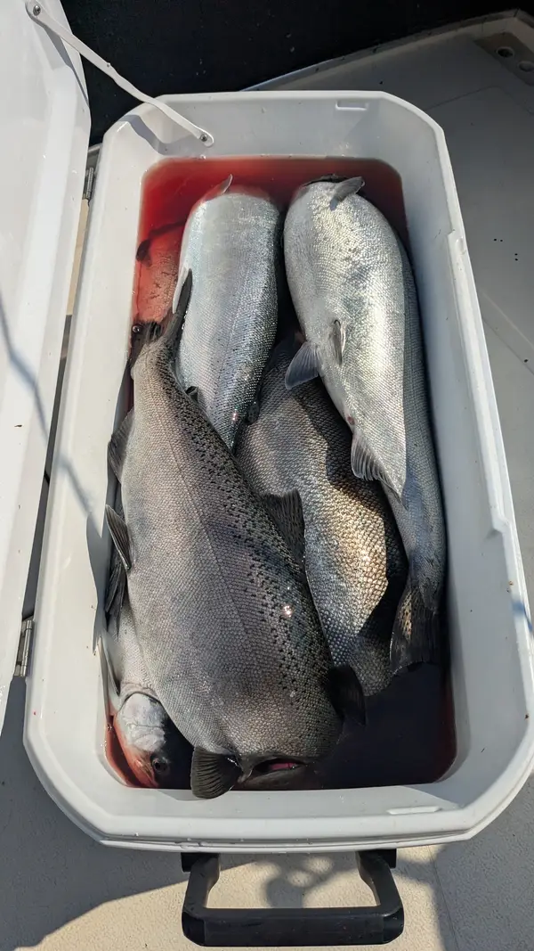 King Slayer Sportfishing, photo 3