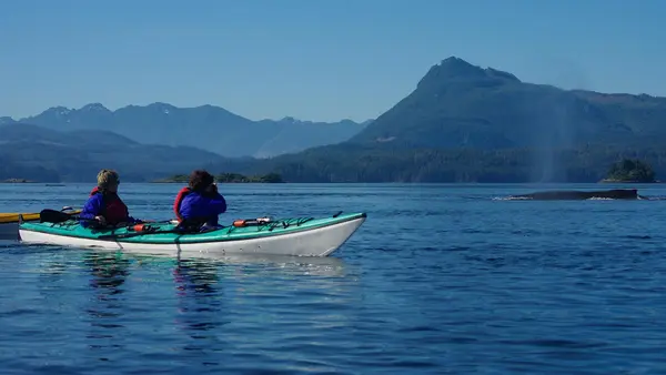 Kingfisher Wilderness Adventures - Sea Kayaking Tours