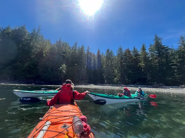 Kingfisher Wilderness Adventures - Sea Kayaking Tours, photo 3